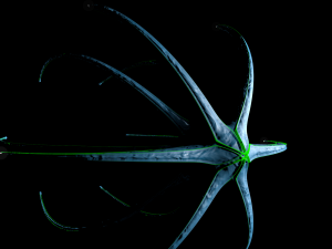 alien spaceship 3D Модель