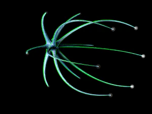 alien spaceship 3D Model