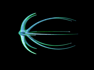 alien spaceship 3D Модель