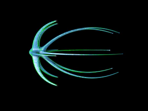 alien spaceship 3D Model