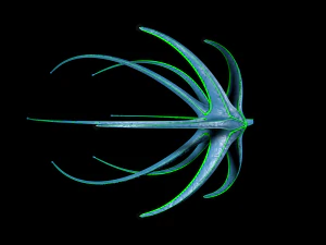 alien spaceship 3D Model