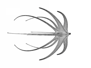 alien spaceship 3D Модель