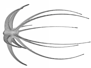 alien spaceship 3D Модель
