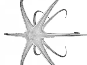 alien spaceship 3D Model