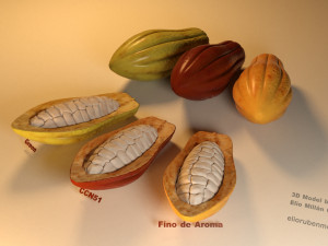 cacao fruit 3 colors 3D Model