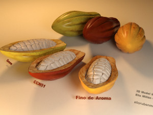 cacao fruit 3 colors Modelo 3D