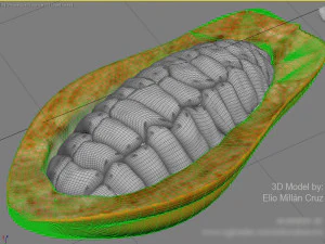 cacao fruit 3 colors 3D Model