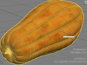 cacao fruit 3 colors 3D Model