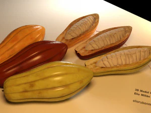 cacao fruit 3 colors 3D Model
