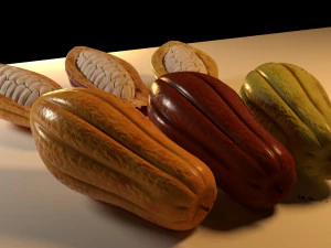 cacao fruit 3 colors 3D Model