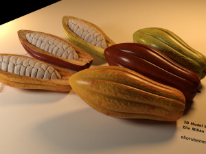 cacao fruit 3 colors Modelo 3D