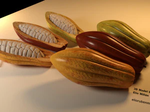 cacao fruit 3 colors 3D Model