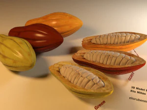 cacao fruit 3 colors 3D Model