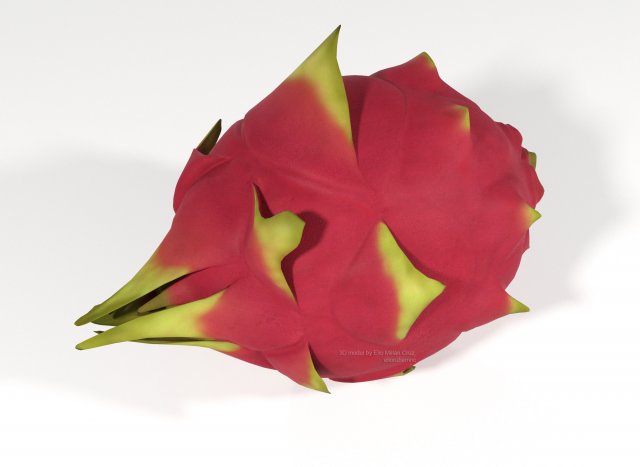 pitahaya fruit from ecuador Modèle 3D .c4d .max .obj .3ds .fbx .stl .blend 