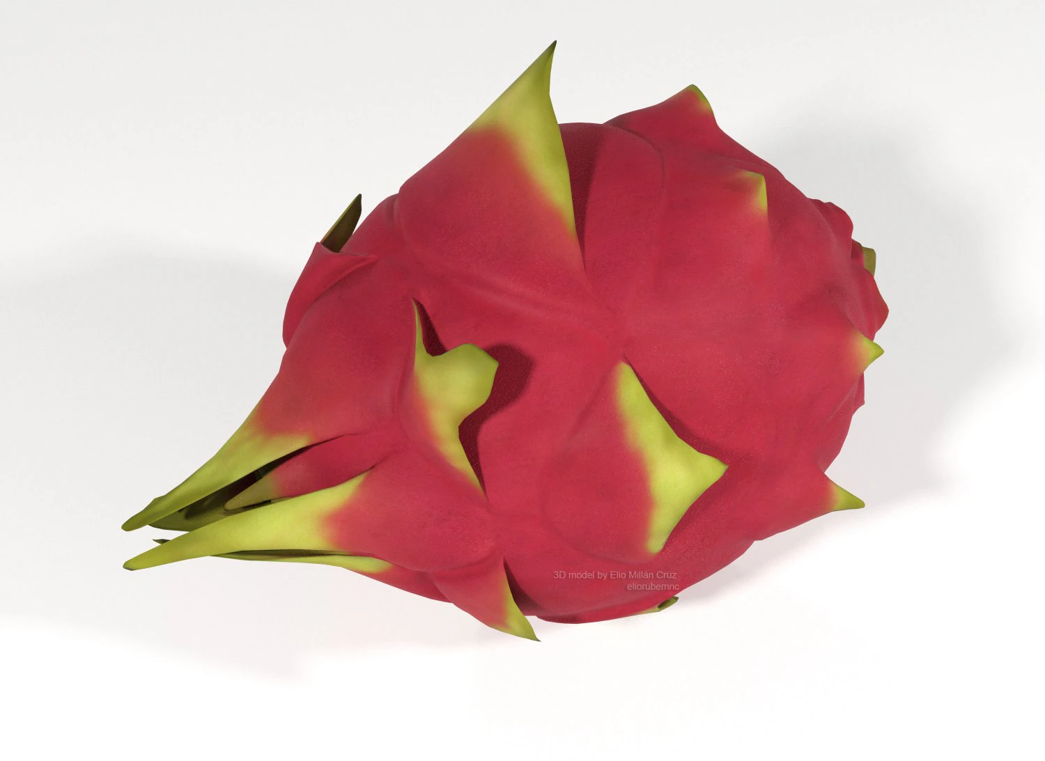 pitahaya fruit from ecuador 3D Model .c4d .max .obj .3ds .fbx .stl .blend 