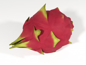pitahaya fruit from ecuador 3D Model