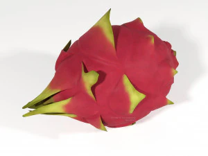 frutto pitahaya dall'ecuador Modello 3D
