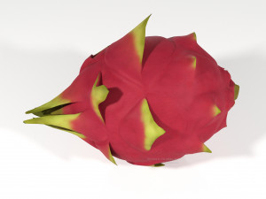 pitahaya fruit from ecuador Modèle 3D