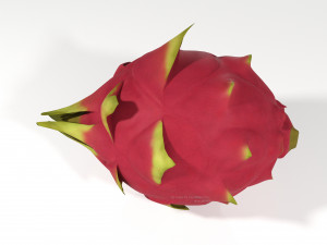 pitahaya fruit from ecuador Modèle 3D