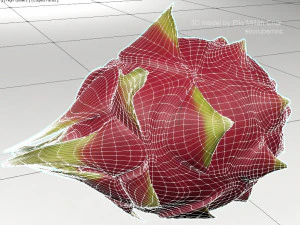 pitahaya fruit from ecuador 3D Model