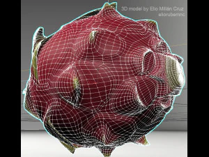 pitahaya fruit from ecuador 3D Model