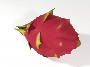 pitahaya fruit from ecuador 3D Model