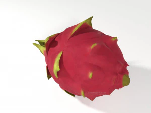 pitahaya fruit from ecuador 3D Model