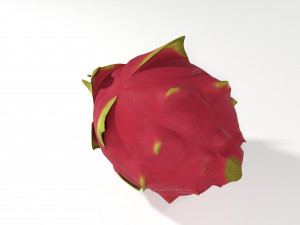 pitahaya fruit from ecuador Modèle 3D