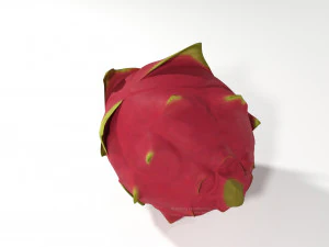 pitahaya fruit from ecuador 3D Model