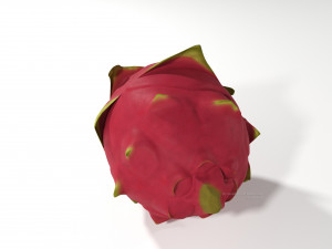 pitahaya fruit from ecuador Modèle 3D