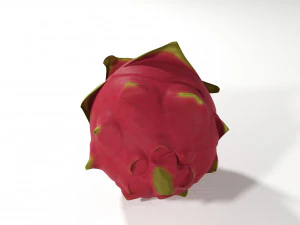 pitahaya fruit from ecuador 3D Model