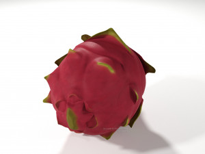 pitahaya fruit from ecuador Modèle 3D