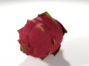 pitahaya fruit from ecuador Modèle 3D