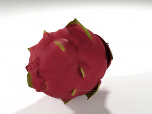 pitahaya fruit from ecuador 3D Model