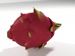 pitahaya fruit from ecuador Modèle 3D