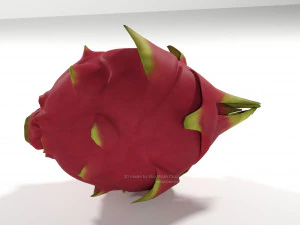 pitahaya fruit from ecuador 3D Model