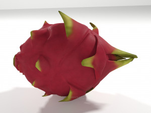 pitahaya fruit from ecuador Modèle 3D