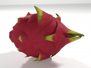 pitahaya fruit from ecuador Modèle 3D