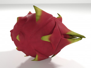 pitahaya fruit from ecuador Modèle 3D