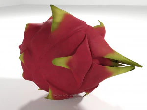 pitahaya fruit from ecuador 3D Model