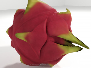 pitahaya fruit from ecuador Modèle 3D