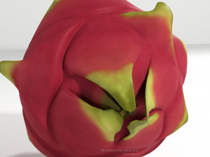 pitahaya fruit from ecuador Modèle 3D