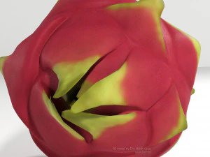 pitahaya fruit from ecuador 3D Model