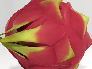 pitahaya fruit from ecuador 3D Model