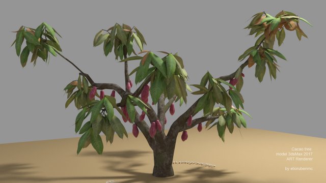 cacao tree type ccn51 with fruit 3D-Modell .c4d .max .obj .3ds .fbx .stl .blend 