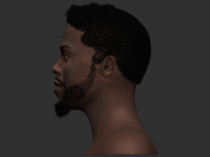 kevin hart 3d zbrush sculpting Modelo 3D