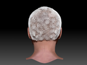 Joe biden zbrush 3D Character design Modelo 3D