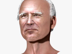 Joe biden zbrush 3D Character design Modelo 3D