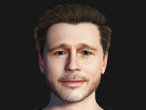 Man 3D Rigged model Brad Pitt ready for animation Model 3D