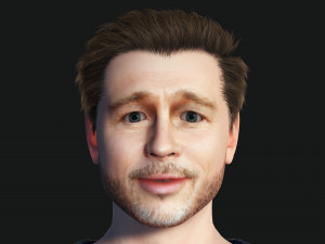 Man 3D Rigged model Brad Pitt ready for animation Model 3D